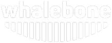 Whalebone
